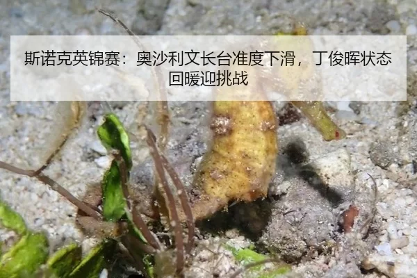 斯诺克英锦赛：奥沙利文长台准度下滑，丁俊晖状态回暖迎挑战